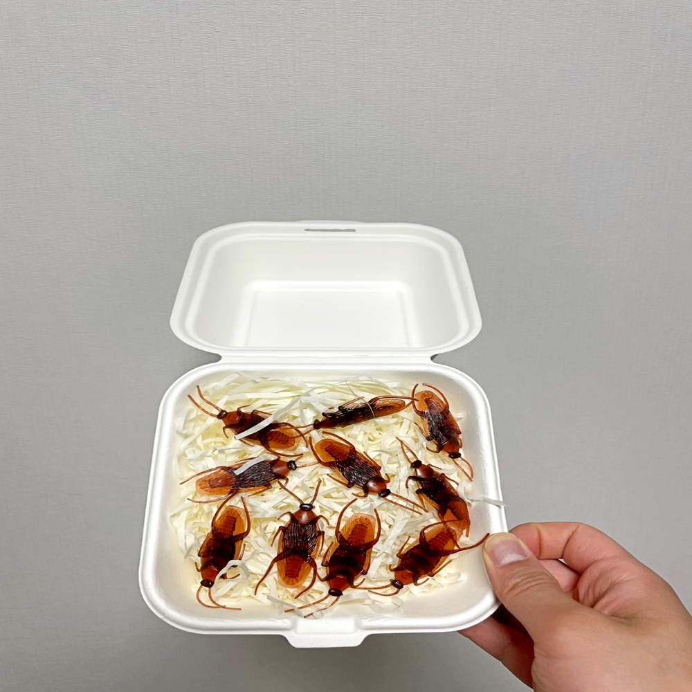 쓸데없는 쓸모없는 킹받는 웃긴 신박한 병맛 깜짝 반전 선물 바퀴벌레 지네 벌레 모형 상자 - 상세 이미지 2