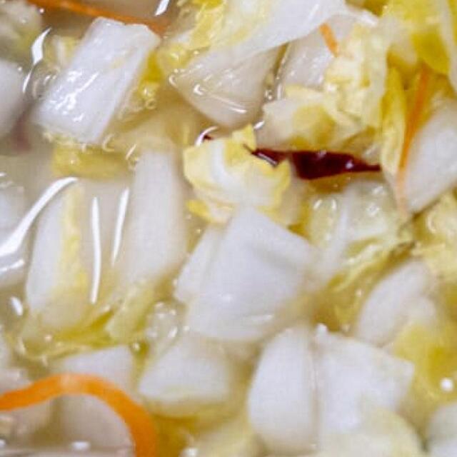 어린이 백김치, 250g, 1통 - 상세 이미지 5