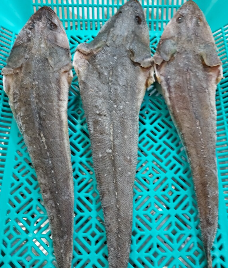 반건조 장대 양태 2마리 반건조생선 제찬생선 - 상세 이미지 2