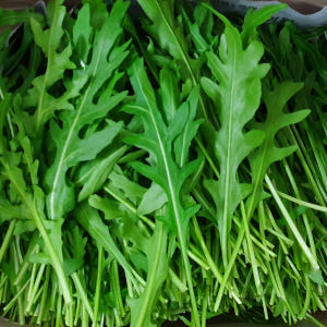 야채이야기 와일드루꼴라 500g 특수야채 베이비 루꼴라 맛있게 먹은 솔직 후기 - 상품 이미지 3