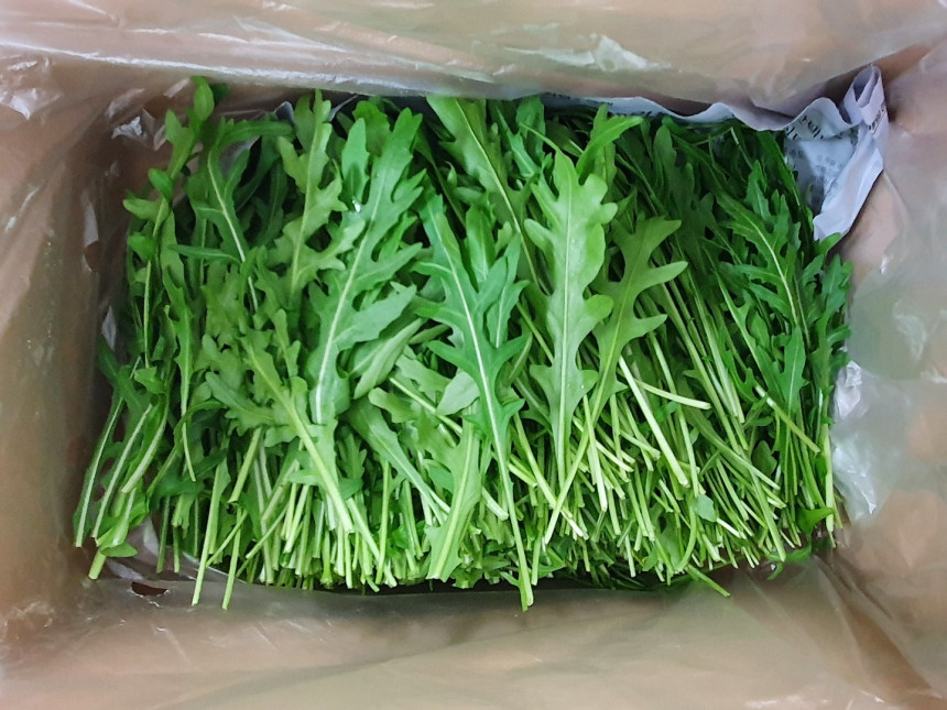야채이야기 신선한 와일드루꼴라 1kg 베이비루꼴라 특수채소 특수야채