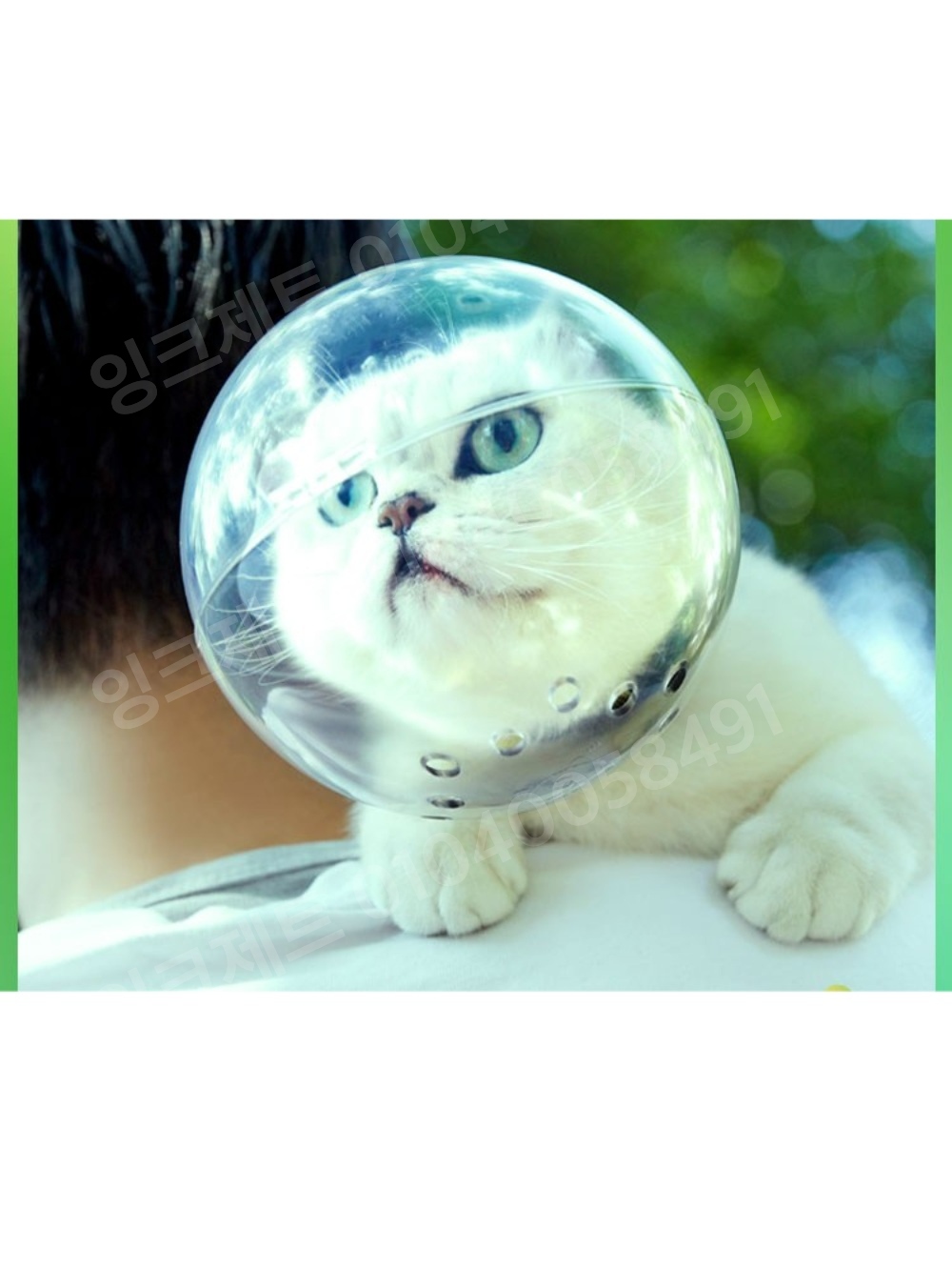 고양이넥카라 플라스틱 UFO 우주 중성화 회복 물림방지 - 상품 이미지