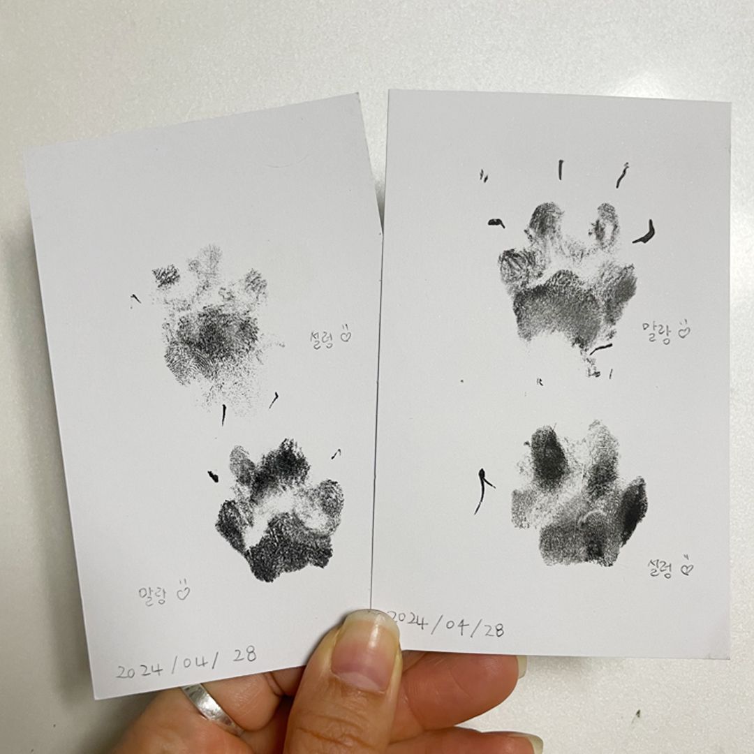 강아지 발도장 추억 액자 키트 반려견 고양이 생일 선물 용품 발자국 셀프 기념 스탬프 이미지 6