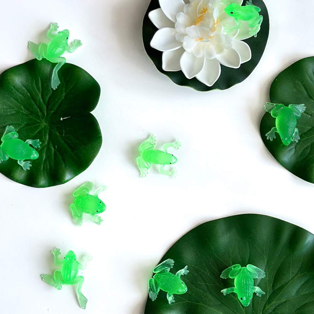 빌랑 개구리 유아 아기 물놀이 장난감 목욕놀이 연못 세트