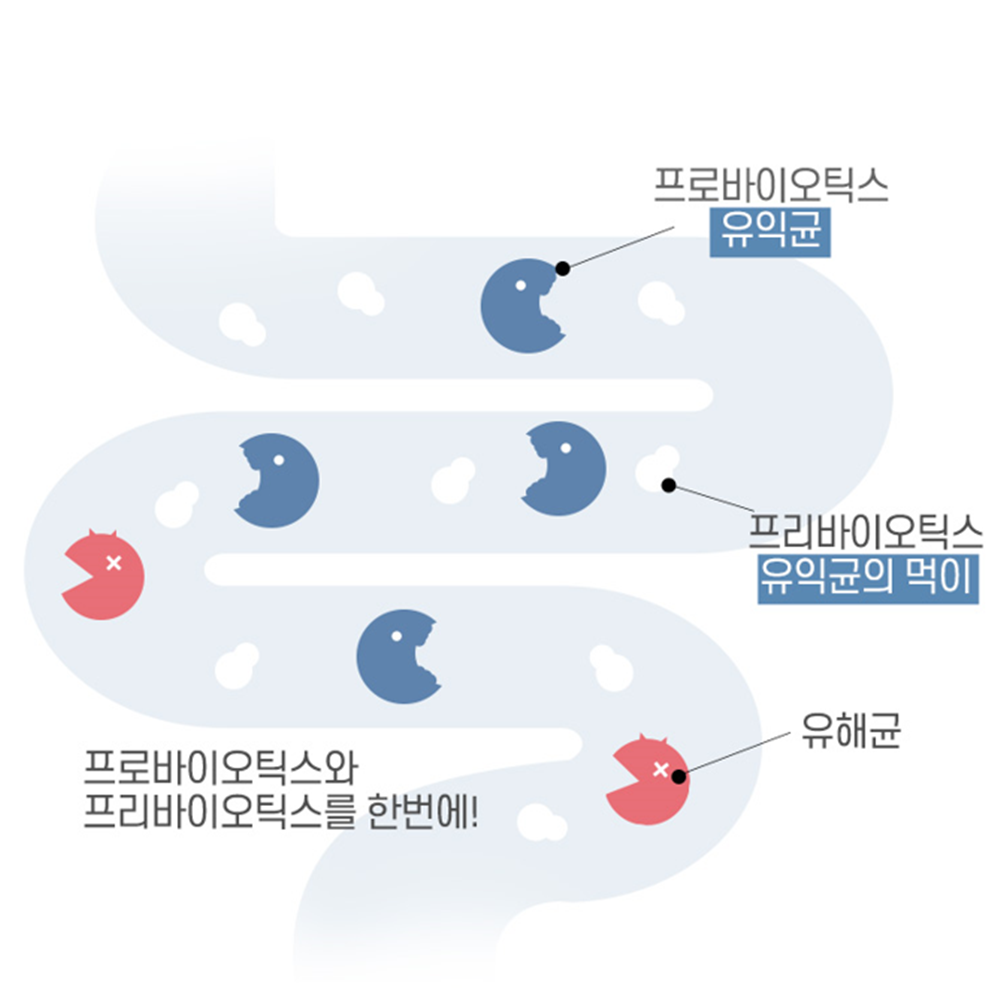 웰러스 폴리시아 프롤린 모유 유래 유산균 2g 30포 1개월 락토바실러스 가세리 루테리 - 상세 이미지 5