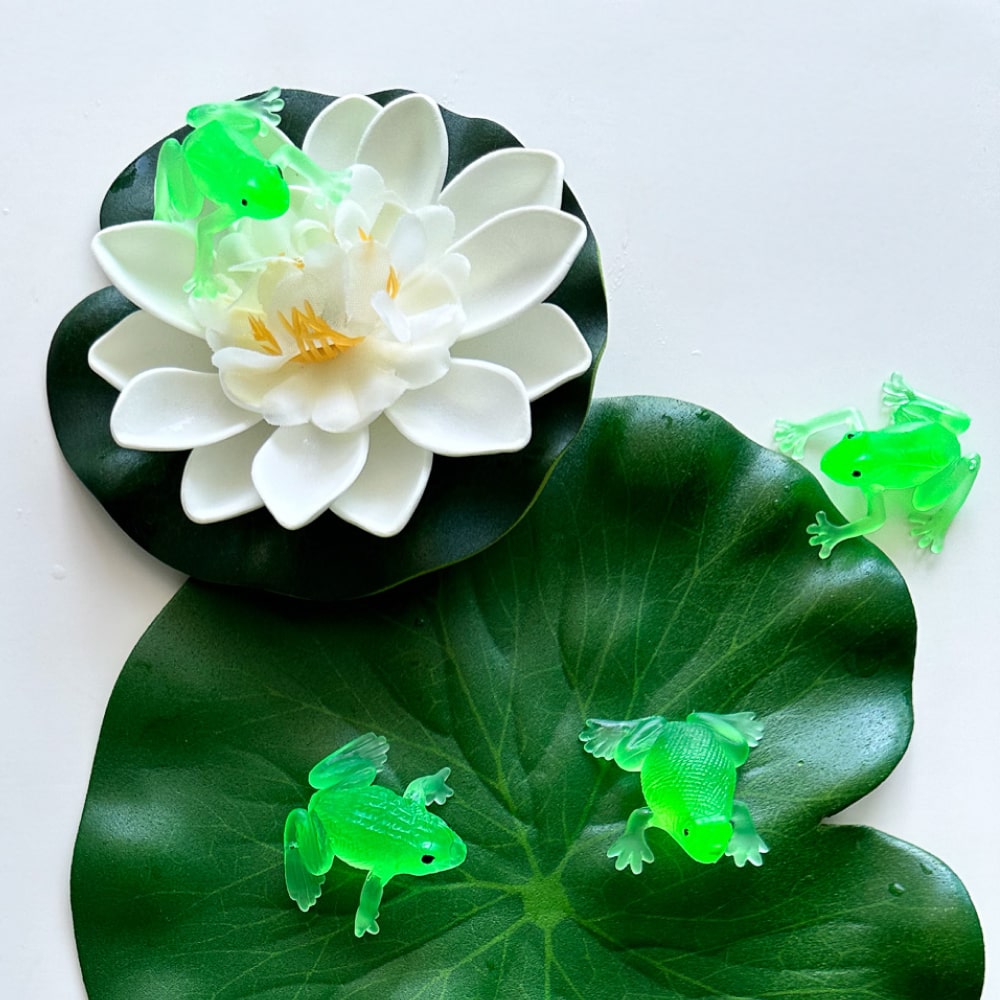 빌랑 개구리 유아 아기 물놀이 장난감 목욕놀이 연못 세트