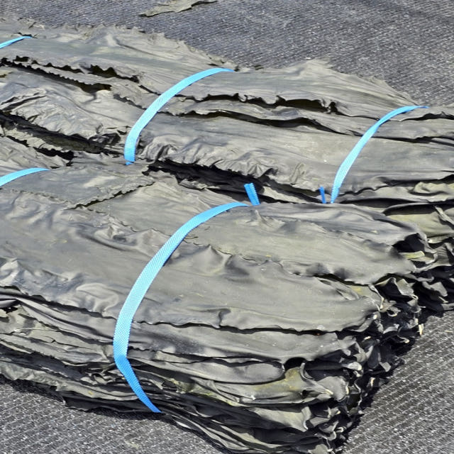 완도 최상품 건 다시마 1kg 파지 뿌리다시마 자른