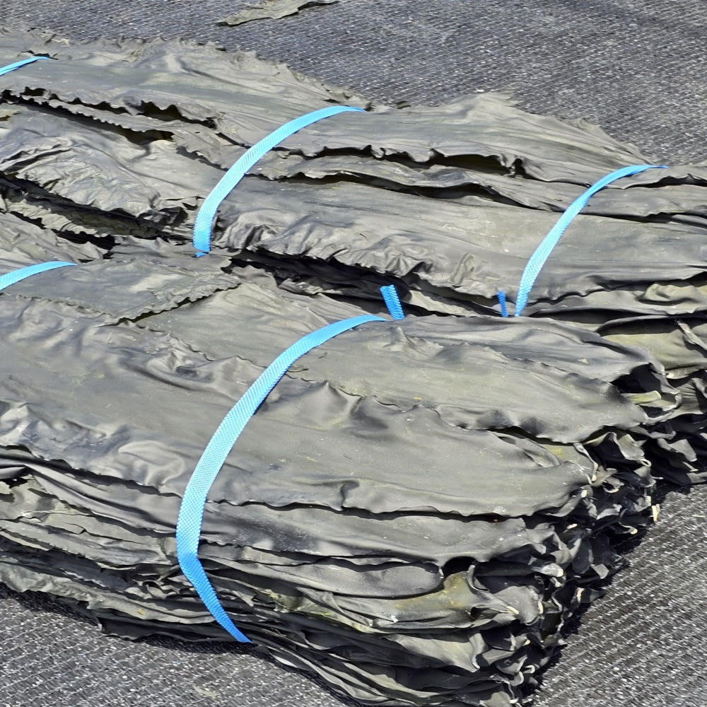 완도총각네수산물 완도 건 다시마 1kg 파지 뿌리다시마 자른