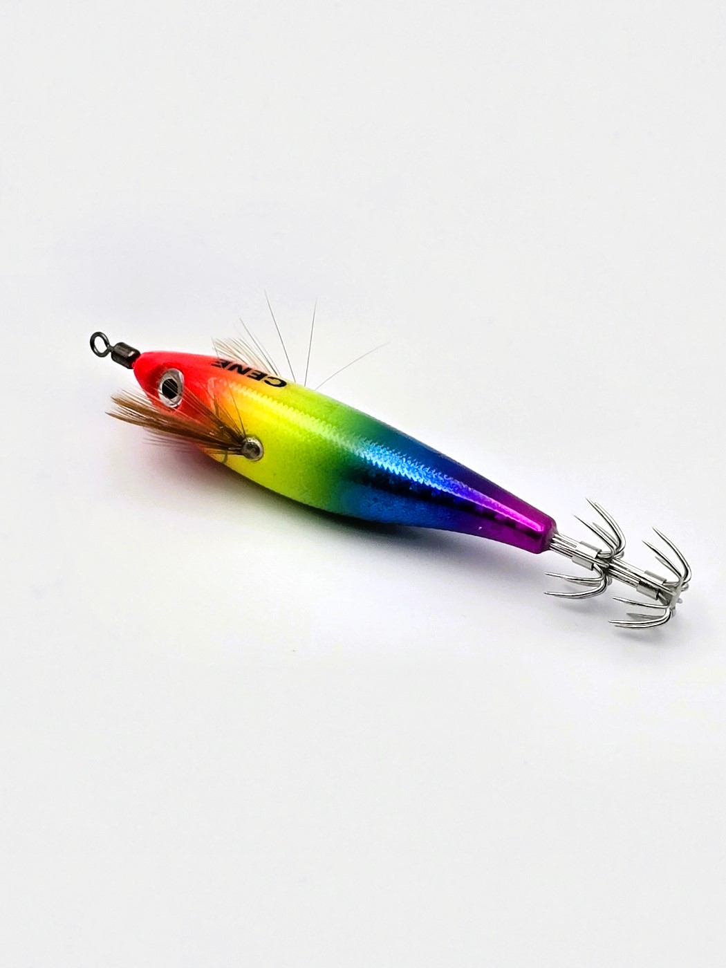 세네 라이트 레인보우 쭈꾸미 갑오징어 한치 문어 두족류 타코 에기 카포스