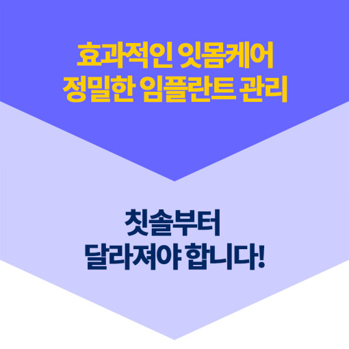 [똑소] 꿈의 소재 그래핀 탄력 미세모칫솔 잇몸 칫솔 여행용 블랙에디션 12개 세트 - 상세 이미지 3