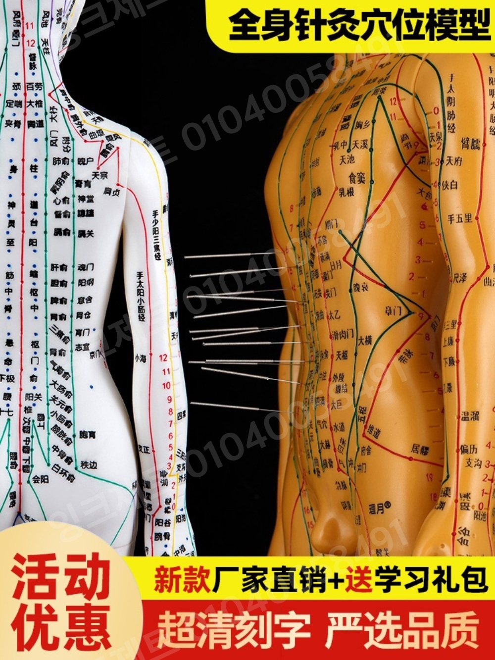 한의학 침술모형 혈자리 전신 경락 인체 경혈 남성 실습 - 상세 이미지 2