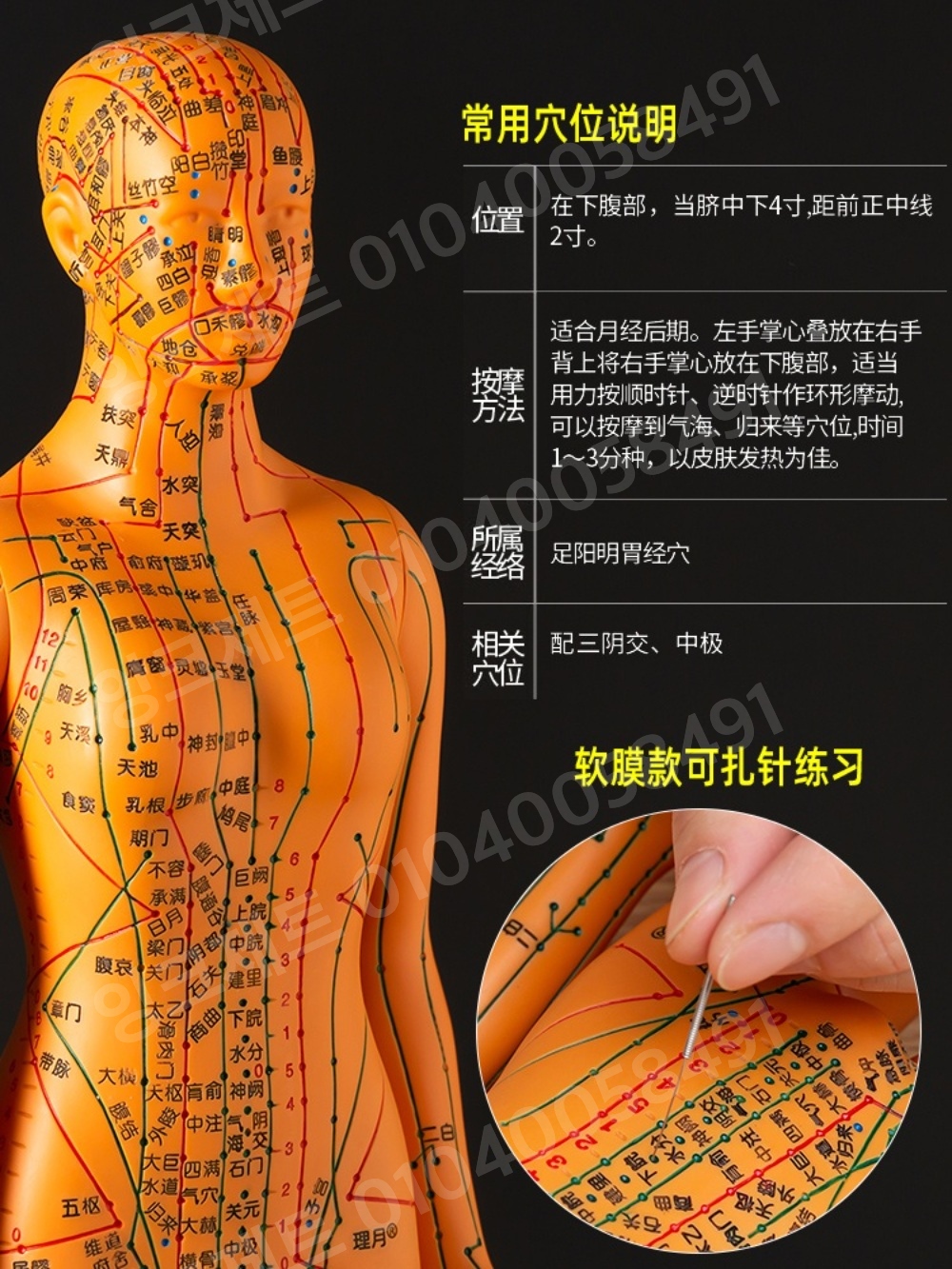 한의학 침술모형 혈자리 전신 경락 인체 경혈 남성 실습 - 상세 이미지 3