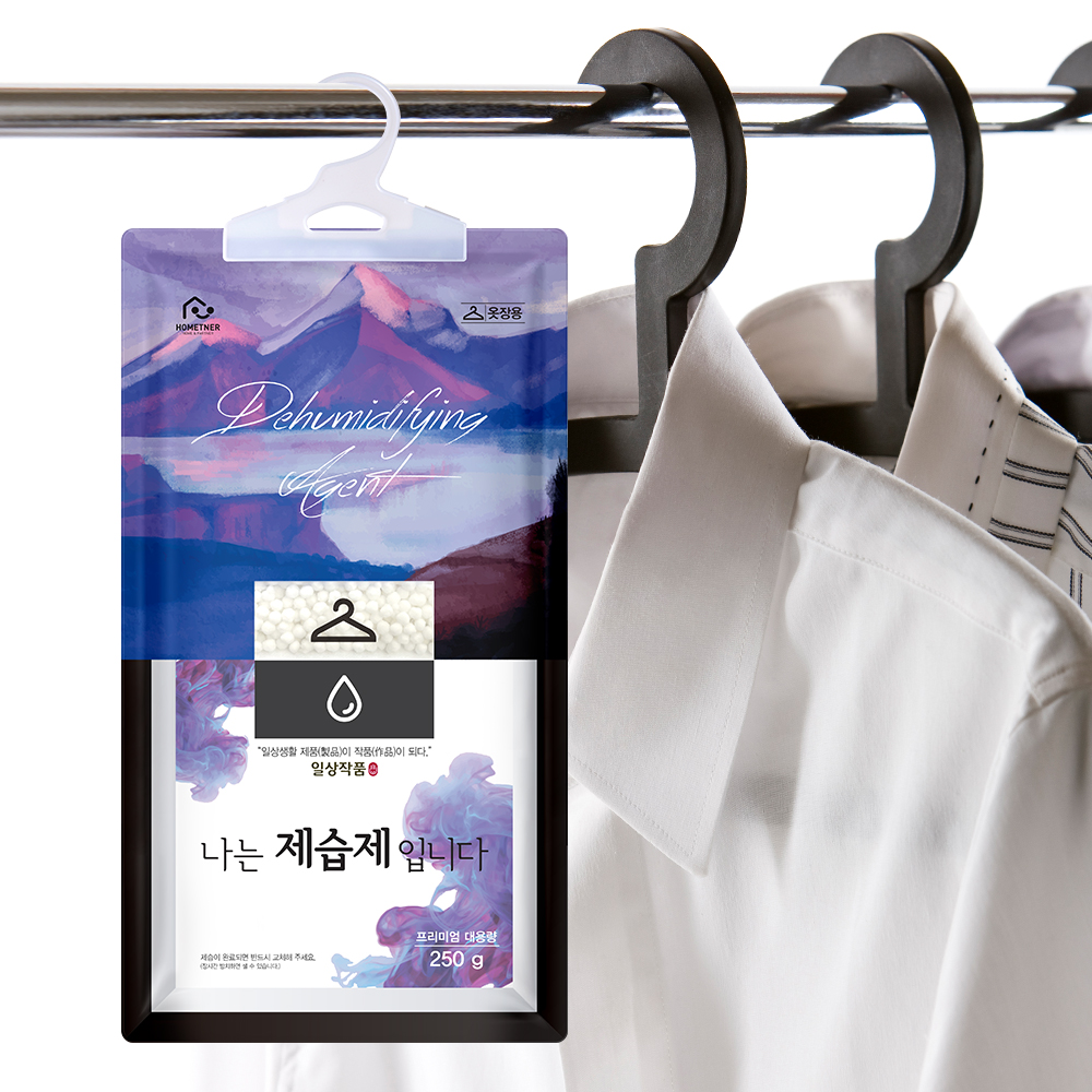 홈트너 제습제 옷장제습제 습기제거제 옷걸이형 250g, 10개