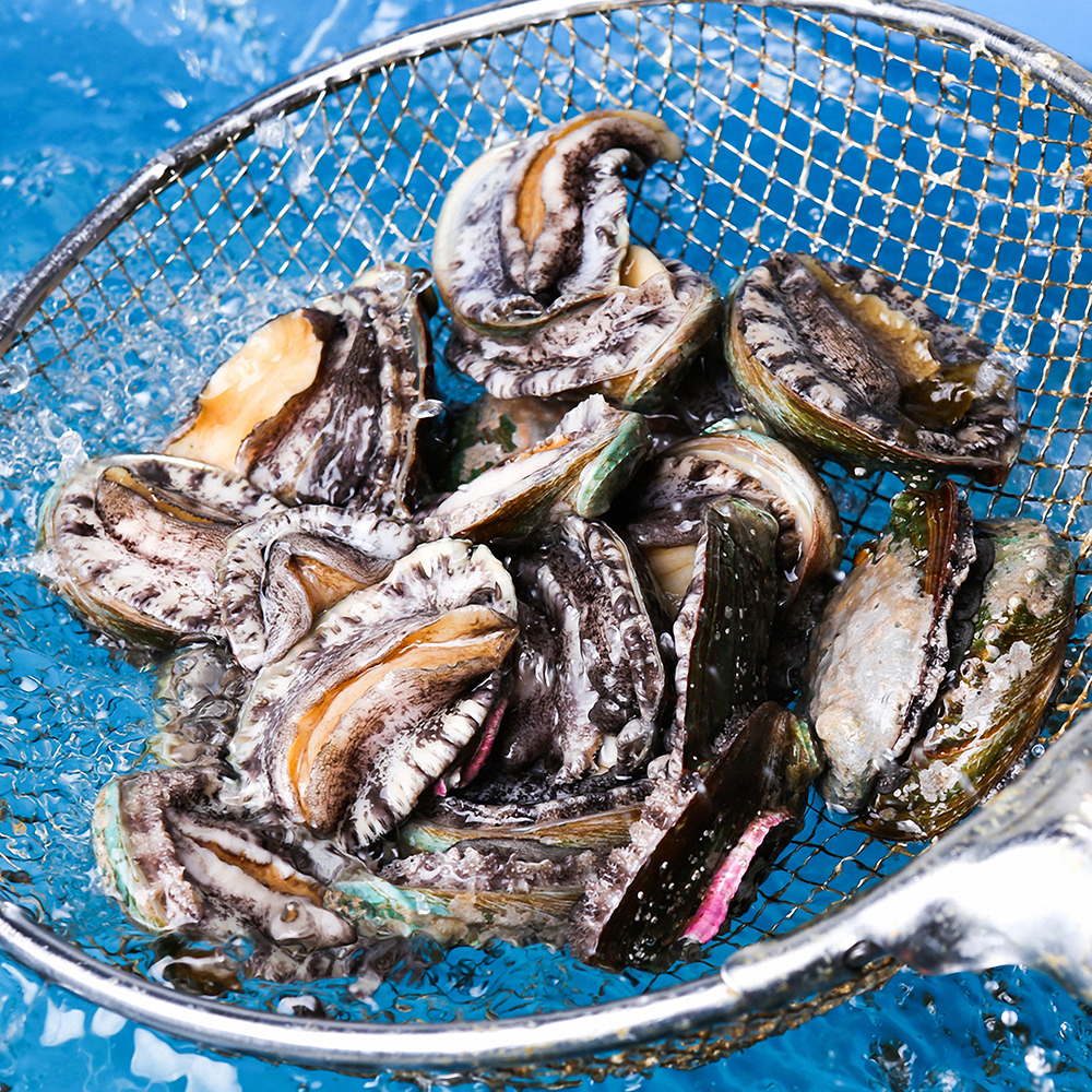 완도 활전복 1kg 꼬마 미니 선물 전복 산소포장