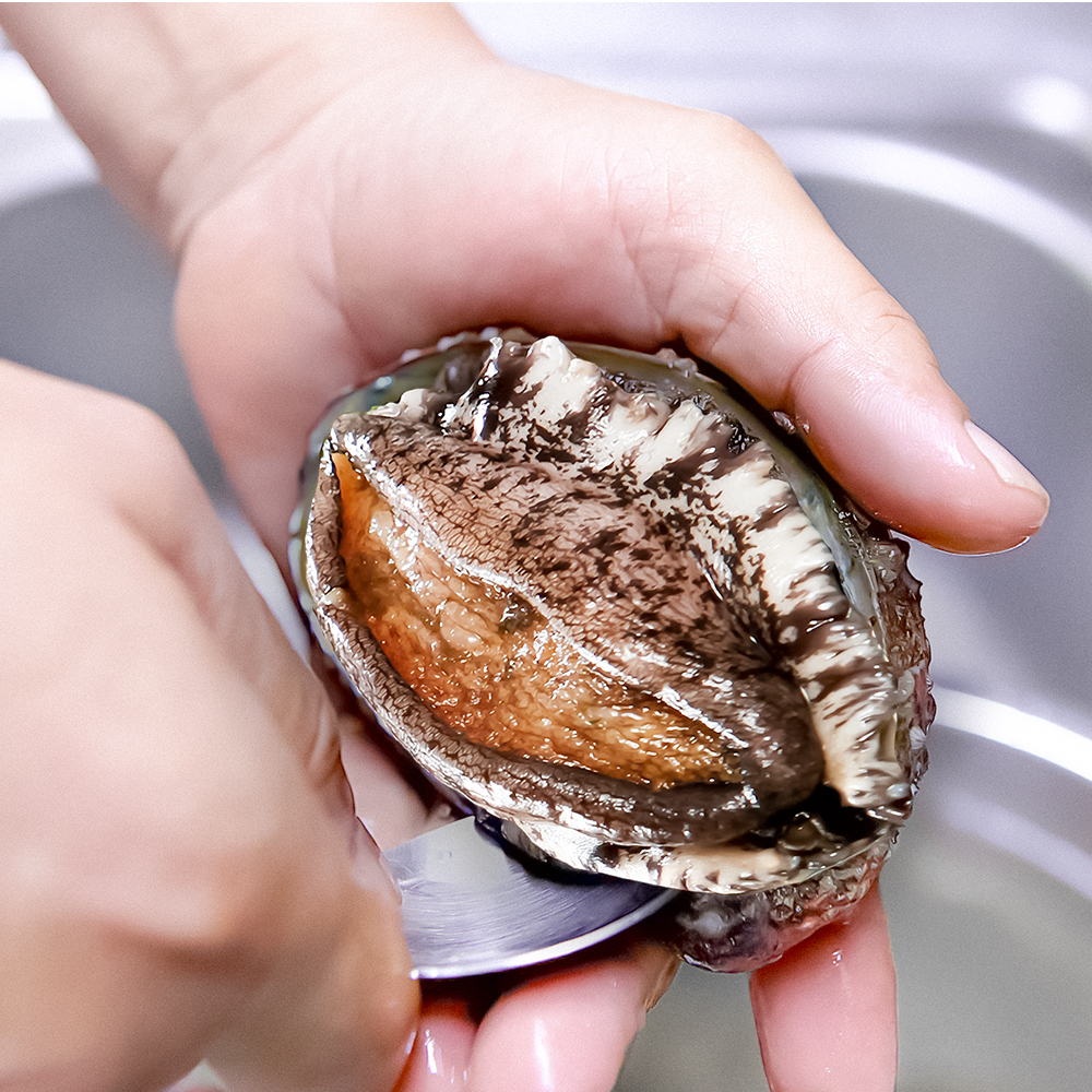 완도 활전복 1kg 꼬마 미니 선물 전복 산소포장 - 상세 이미지 2