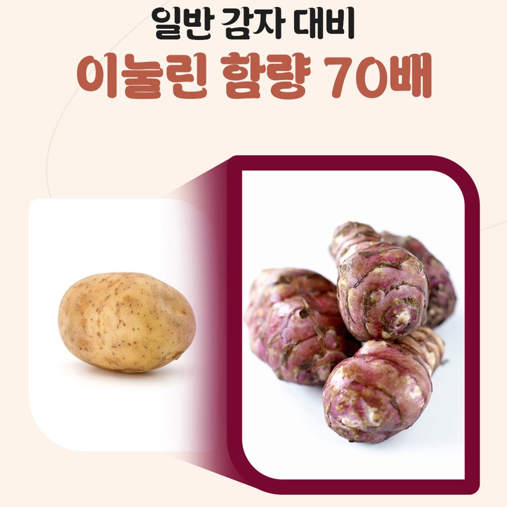 자색 돼지감자즙 100ml 30포 즙 엑기스 - 상세 이미지 5