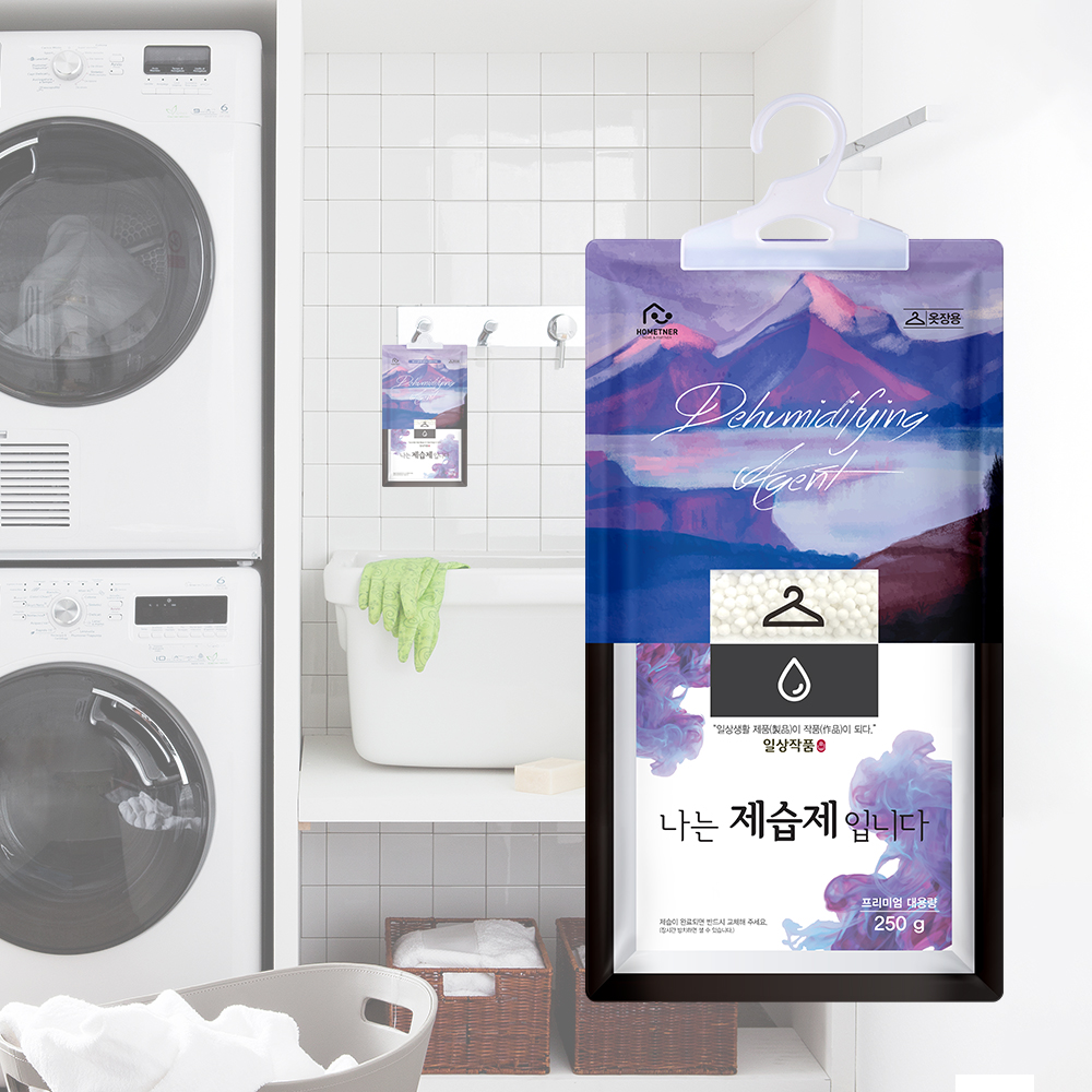 홈트너 제습제 옷장제습제 습기제거제 옷걸이형 250g, 10개