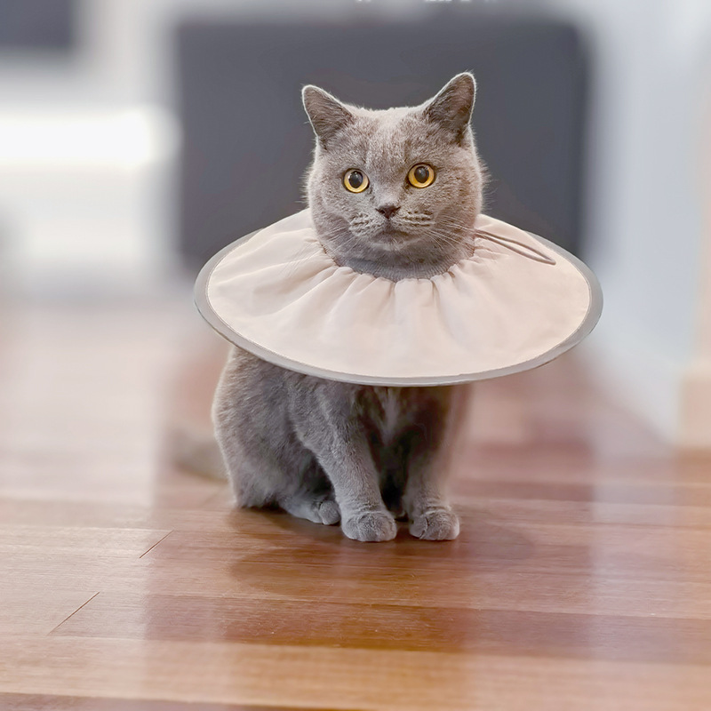 애완동물 엘리자베스 카라 중성화 넥카라 관리 목도리 고양이 강아지 목보호대