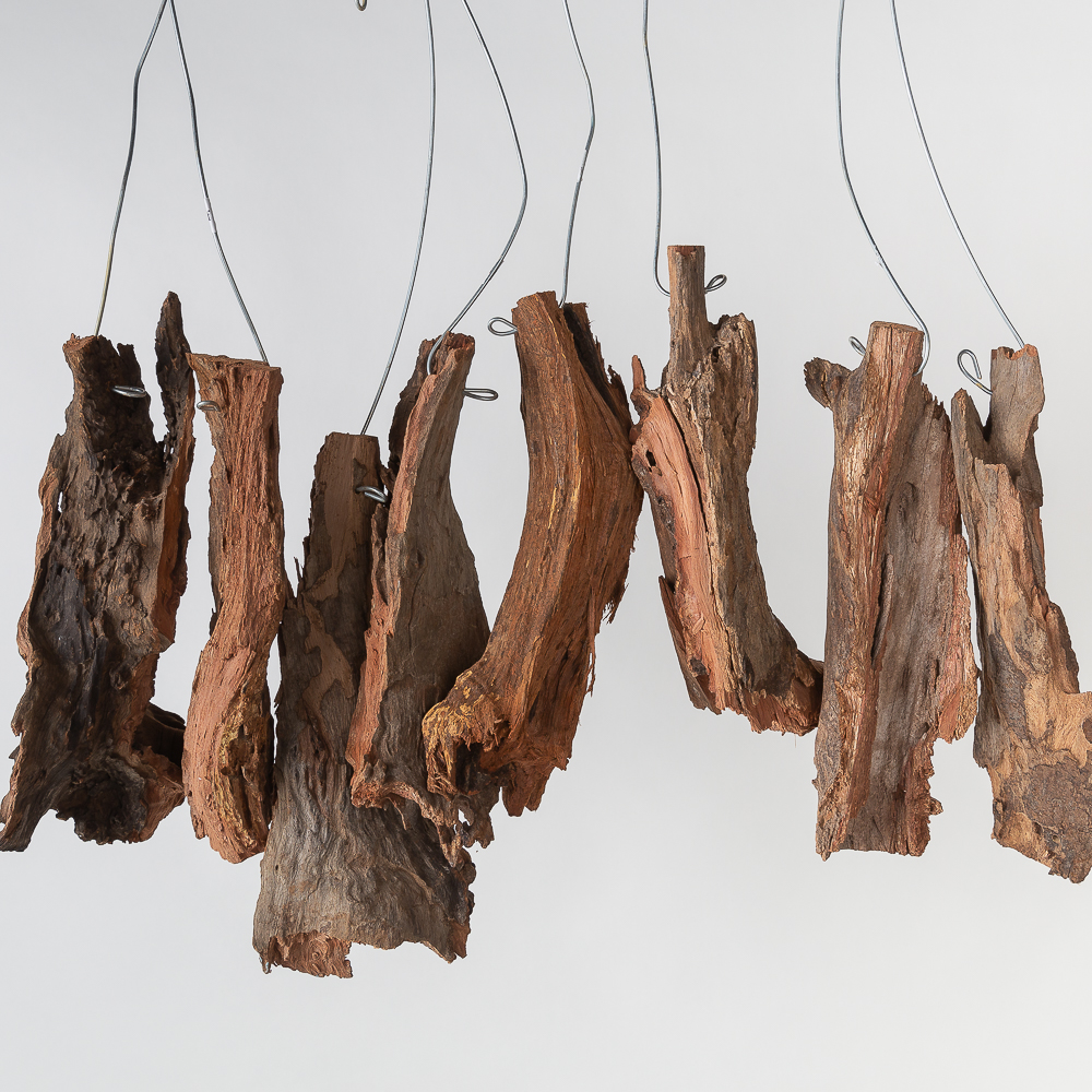 행잉식물 목부작 유목 철사걸이 나무판 박쥐란 제품 이미지