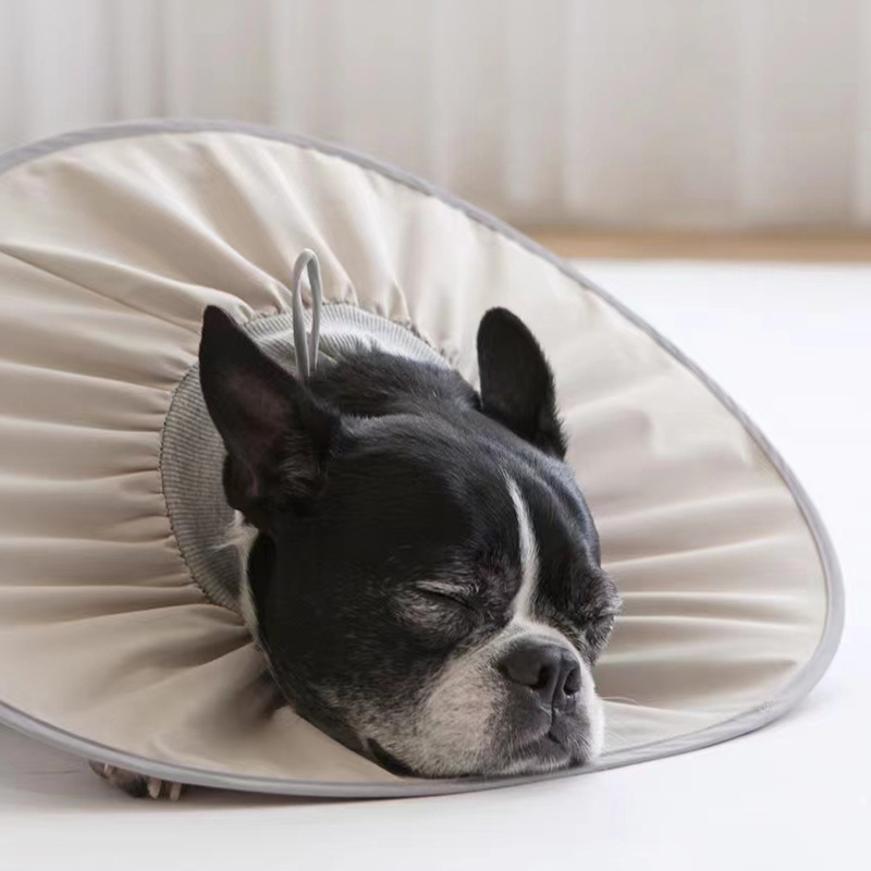 애완동물 엘리자베스 카라 중성화 넥카라 관리 목도리 고양이 강아지 목보호대