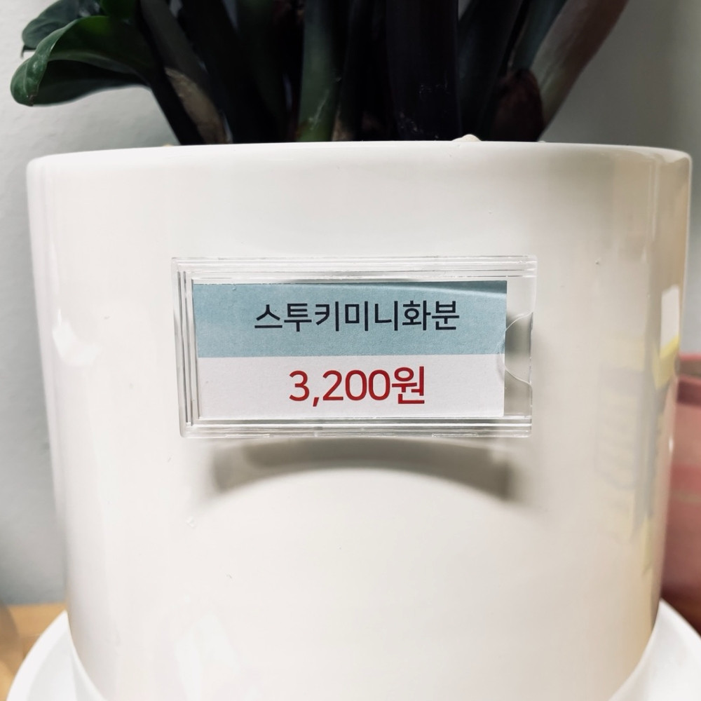 부착형 아크릴 꽂이 네임텍 매장 가격표 안내판 부착용꽂이판 5.5cm 실사용 후기 | 효과 있을까? - 대표 이미지