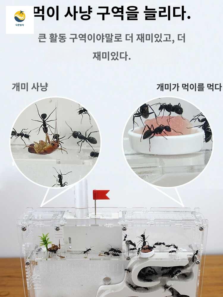 개미성 생태 선물 농장 곤충키우기 개미굴 개미 둥지 - 상세 이미지 4