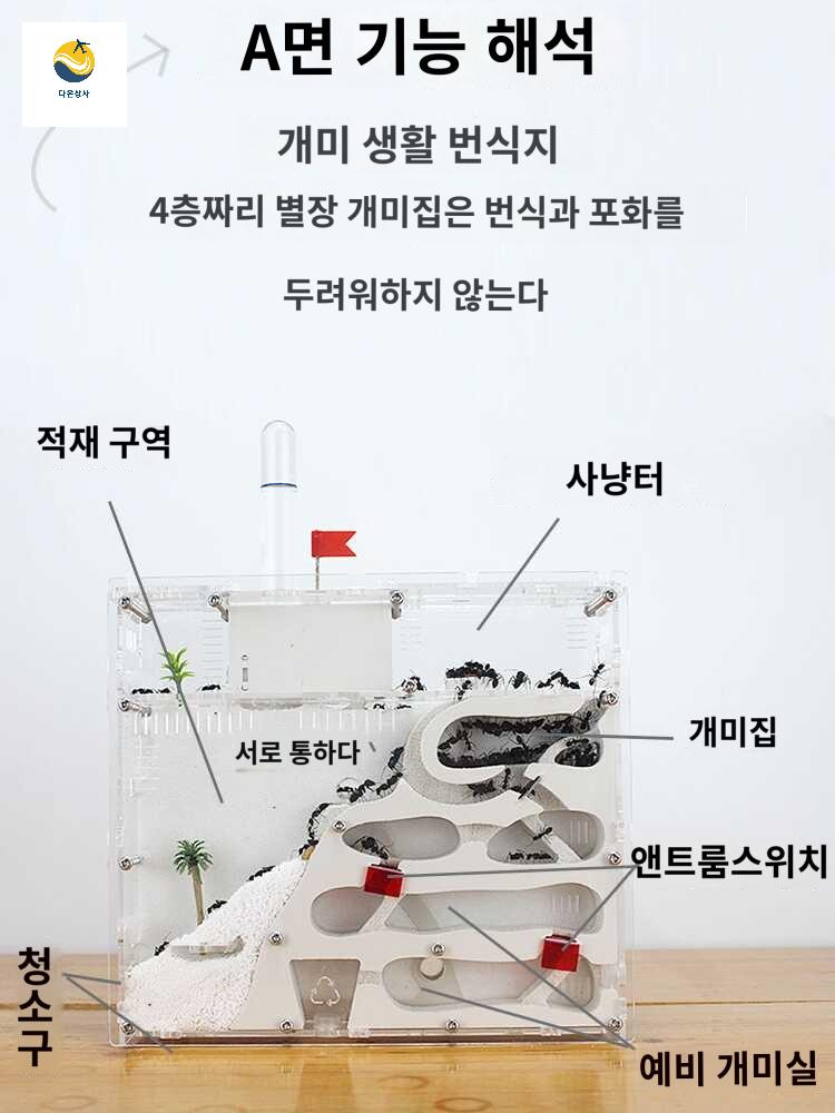 개미성 생태 선물 농장 곤충키우기 개미굴 개미 둥지 - 상세 이미지 3