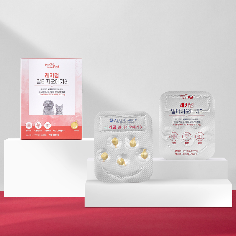 바른뉴트리펫 레카덤 알티지 강아지 오메가3 피부 심장 관절 영양제 고양이