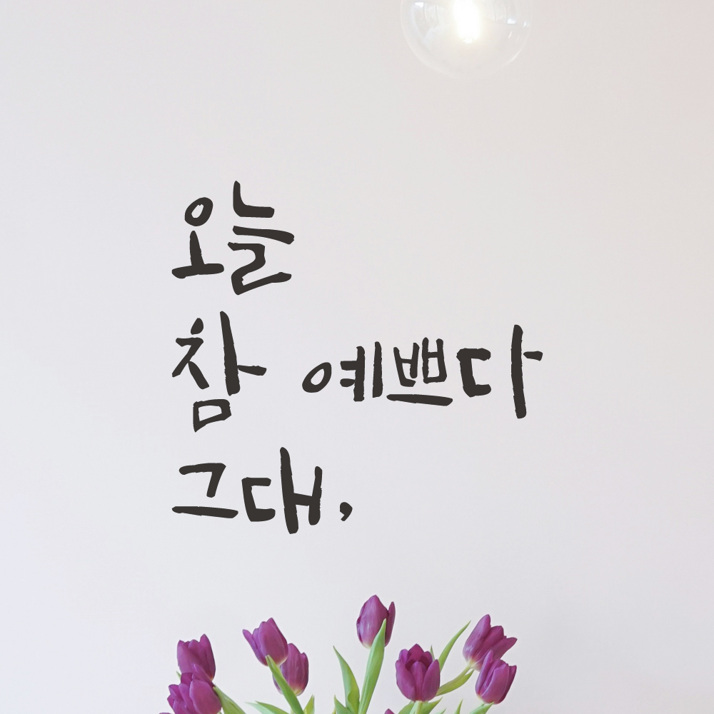 카페 욕실 거울 창문 미용실 피부샵 네일샵 캘리그라피 레터링 스티커 오늘 참 예쁘다 그대 LC-001S 검정 - 상품 이미지