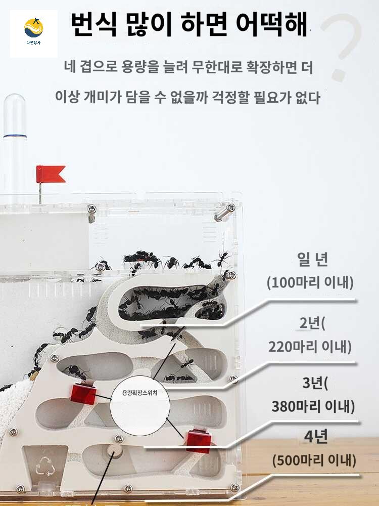 개미성 생태 선물 농장 곤충키우기 개미굴 개미 둥지 - 상세 이미지 5