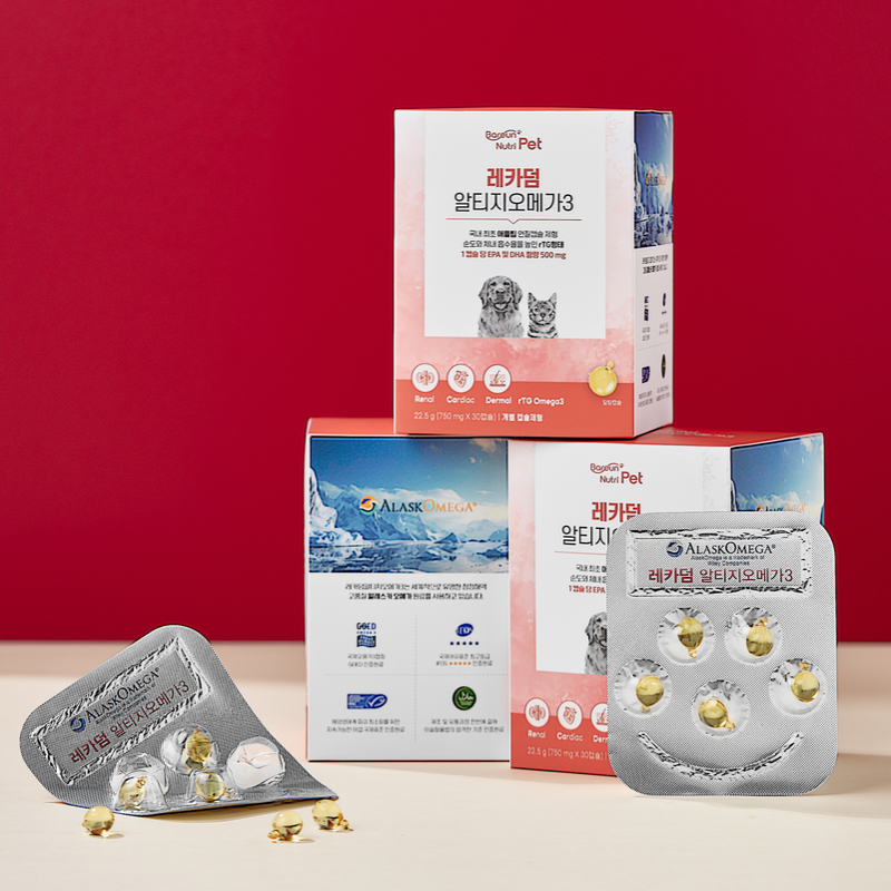 바른뉴트리펫 레카덤 알티지 강아지 오메가3 피부 심장 관절 영양제 고양이