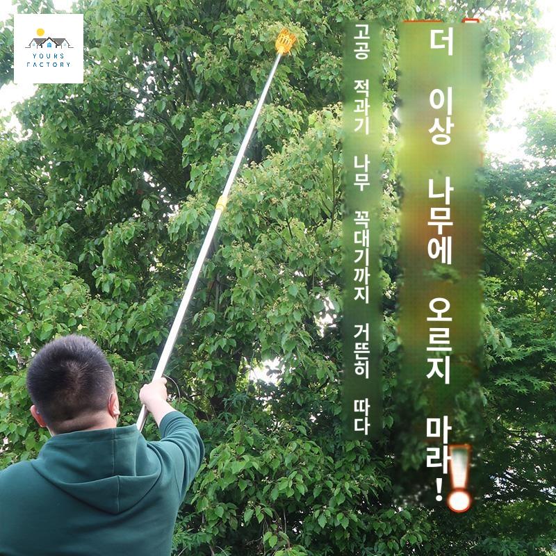 살구 밤 도구 과일 무화과 대추 따는 수확 - 상세 이미지 3
