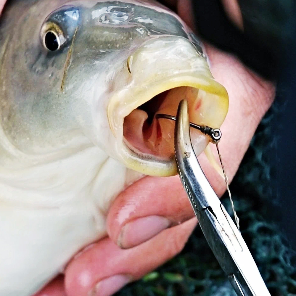 낚시 포셉 가위 바늘빼기 물고기집게 스테인리스 훅리무버 16cm 이미지 2