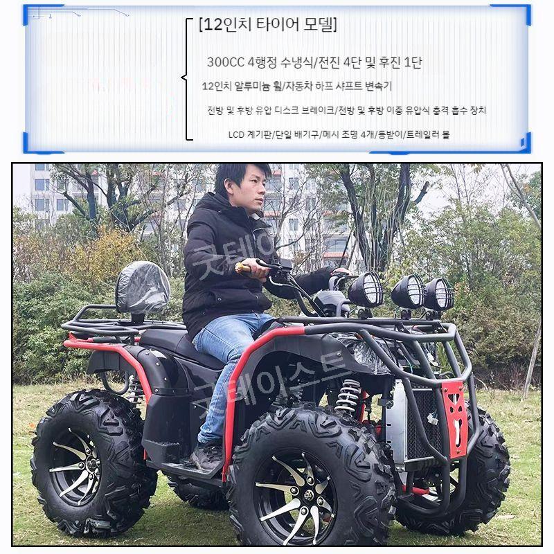 사륜 구동 오토바이 바이크 산악용 농업용 ATV 4륜 모든 지형 레저용 250cc350cc - 상세 이미지 4