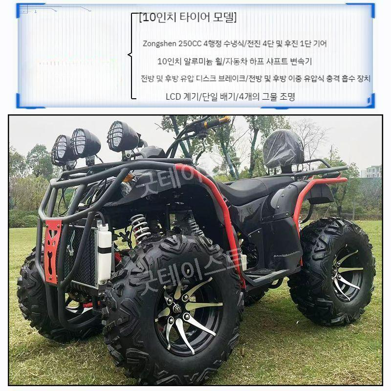 사륜 구동 오토바이 바이크 산악용 농업용 ATV 4륜 모든 지형 레저용 250cc350cc - 상세 이미지 5