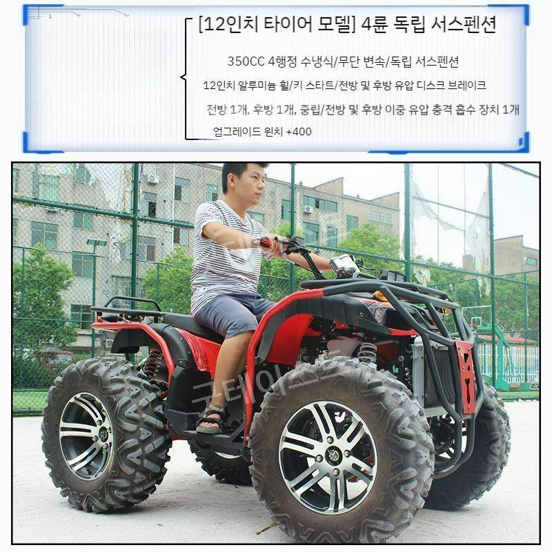 사륜 구동 오토바이 바이크 산악용 농업용 ATV 4륜 모든 지형 레저용 250cc350cc - 상품 이미지
