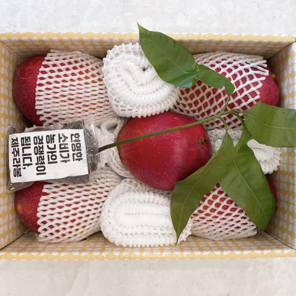 엑스트라 애플망고