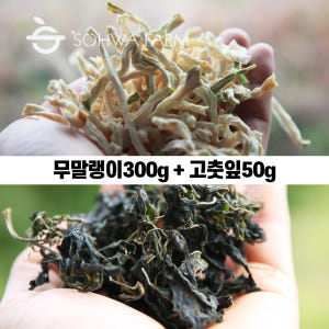 2025년 국산 말린 무말랭이 300g 건고춧잎50g 맛있게 먹은 솔직 후기 - 상품 이미지 1