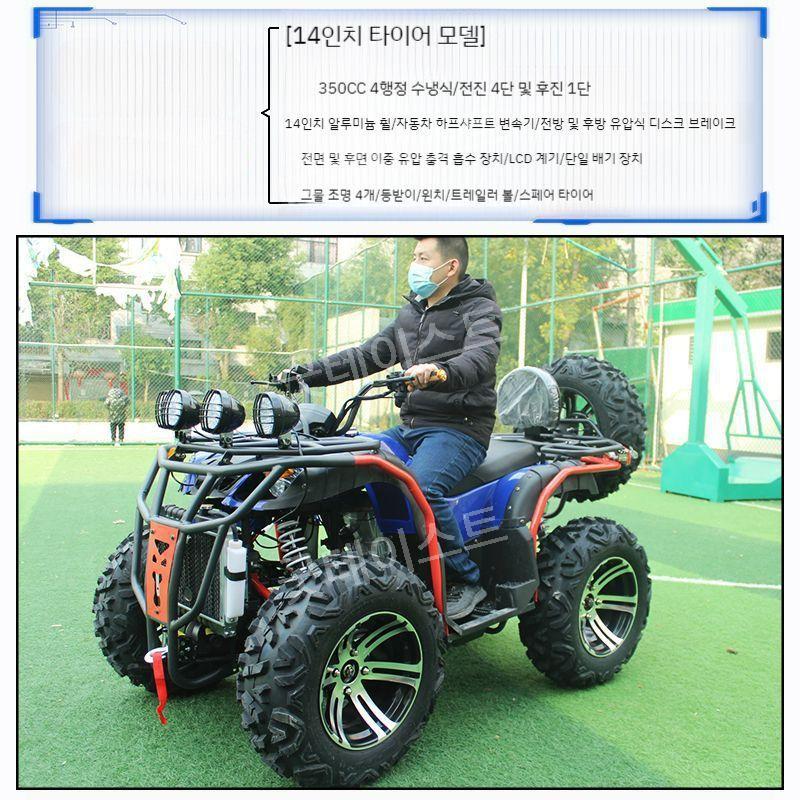 사륜 구동 오토바이 바이크 산악용 농업용 ATV 4륜 모든 지형 레저용 250cc350cc - 상세 이미지 2