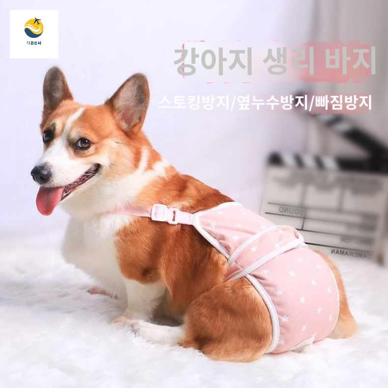 암컷 코키 전용 강아지똥 대형견생리대 생리대 위생팬티 이모 애완견 강아지 - 상품 이미지