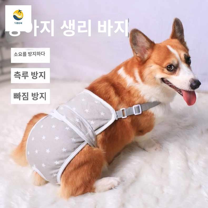 암컷 코키 전용 강아지똥 대형견생리대 생리대 위생팬티 이모 애완견 강아지 - 상세 이미지 5