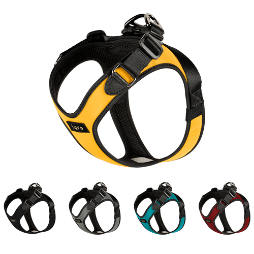 아이그로 베러워크 강아지 하네스 소형견 중형견 가슴줄 초소형견 산책줄 XS