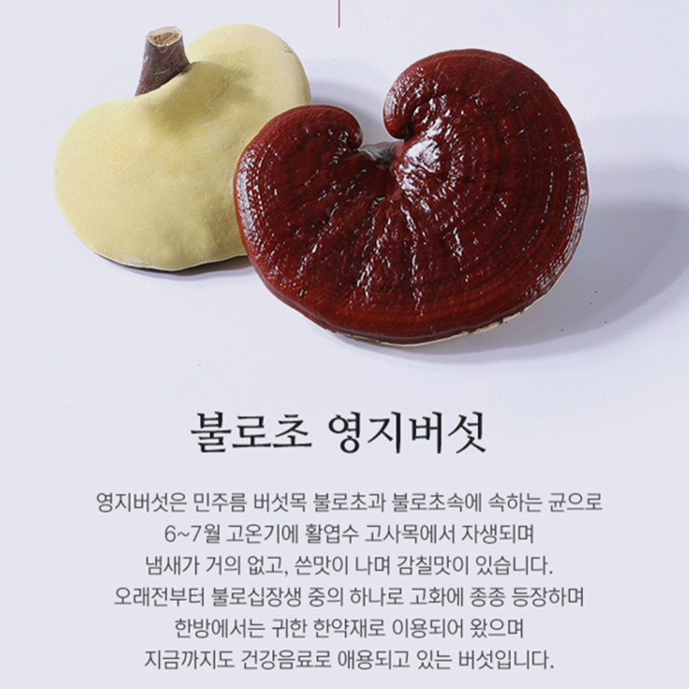 류충현 영지버섯 진액 즙 80ml 30포 엑기스 약용 버섯 저온추출 건강즙 베타글루칸 - 상세 이미지 3