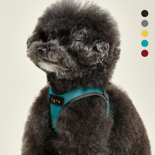 아이그로 강아지 하네스 초소형견 소형견 하네스 새끼 아기 강아지 XXS 첫산책 가슴줄