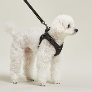 아이그로 베러워크 강아지 하네스 소형견 중형견 가슴줄 초소형견 산책줄 X... 솔직 후기 | 실제 사용자 리뷰 총정리 - 상품 이미지 4