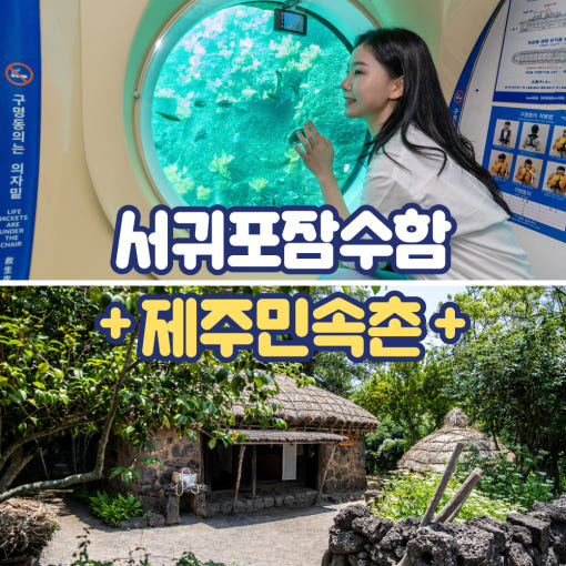 3. 제주 서귀포잠수..