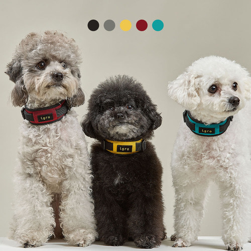 아이그로 베러워크 강아지 목줄 저자극 쿠션목줄 XS 이미지 2