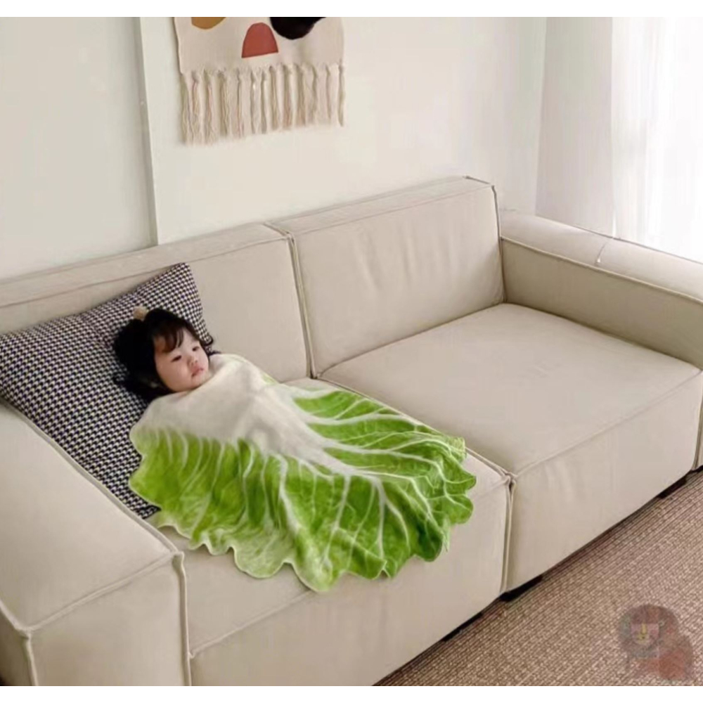 배추담요 쇼파 무릎 캠핑 소파 블랭킷 배춧잎 극세사 얇은 발 수면 작은 이불