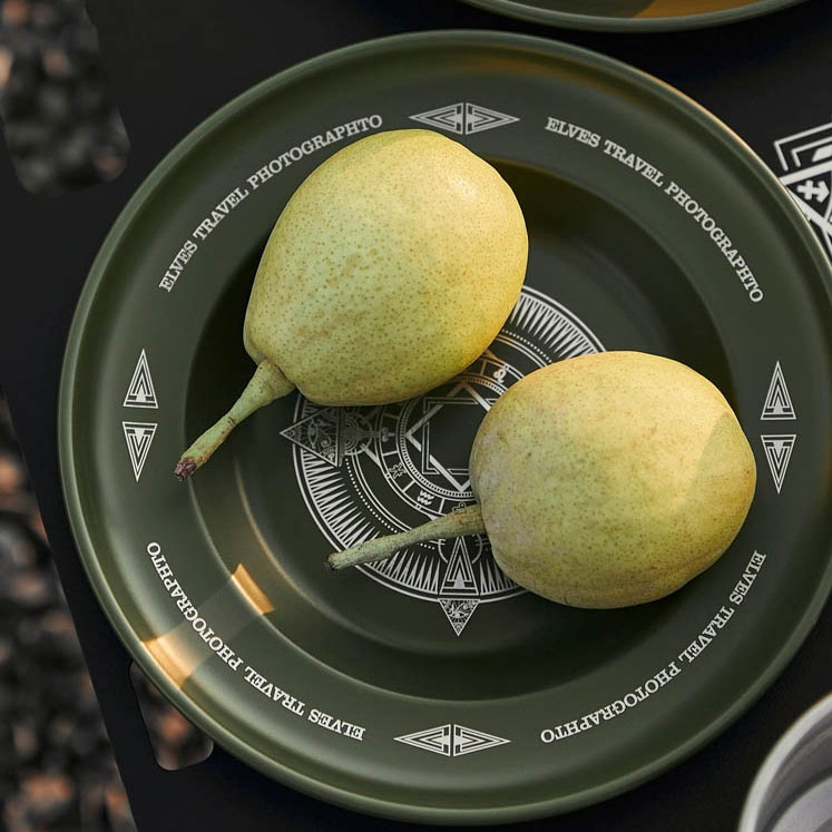 대륙의 테팔 캠핑 식기 밀리터리 디자인 스텐 접시 세트 ETP