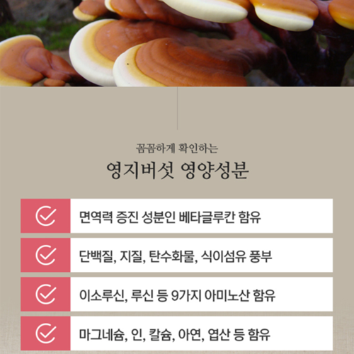 류충현 영지버섯 진액 즙 80ml 30포 엑기스 약용 버섯 저온추출 건강즙 베타글루칸 - 상세 이미지 4